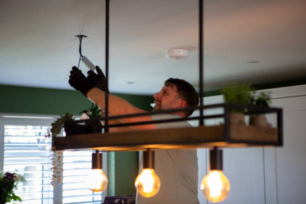 Best Electric Panel Repair  in Moline, IL